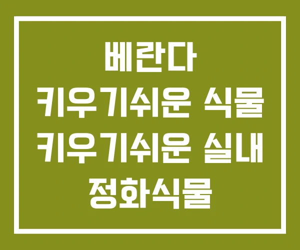 베란다 키우기쉬운 식물 키우기쉬운 실내 정화식물