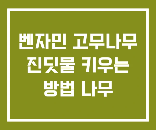 벤자민 고무나무 진딧물 키우는 방법 나무 벤자민 고무나무 진딧물 키우는 방법 나무