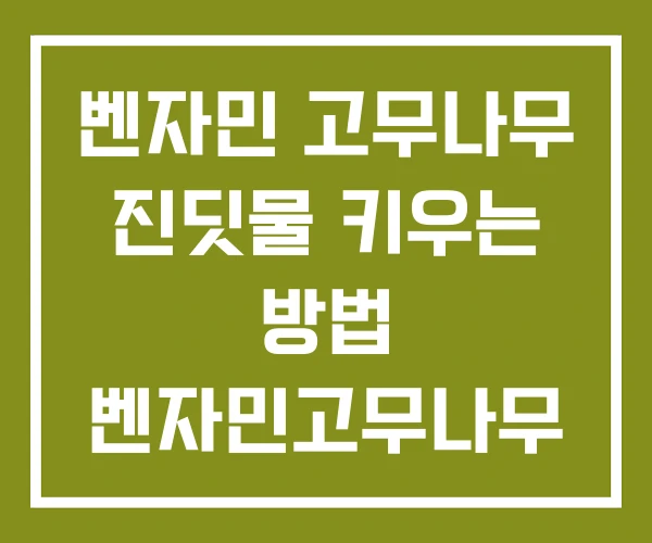벤자민 고무나무 진딧물 키우는 방법 벤자민고무나무 꽃말