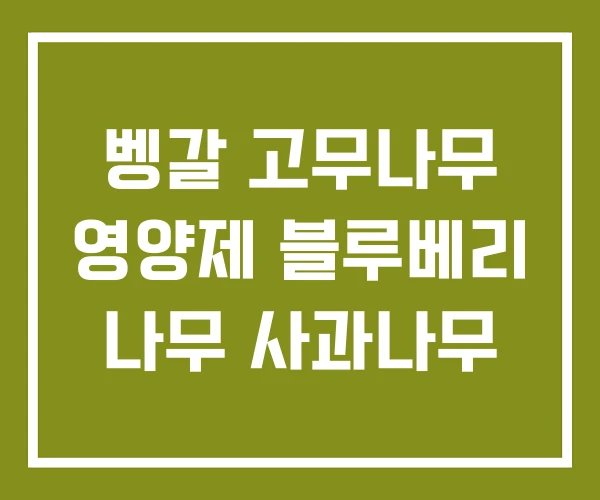 벵갈 고무나무 영양제 블루베리 나무 사과나무