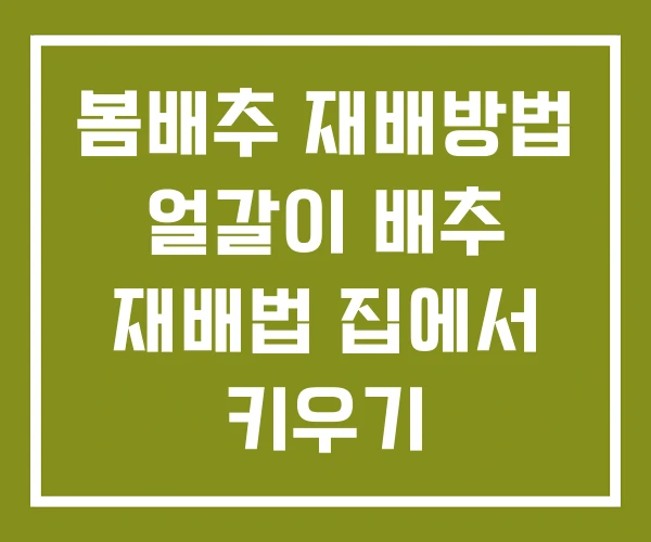 봄배추 재배방법 얼갈이 배추 재배법 집에서 키우기