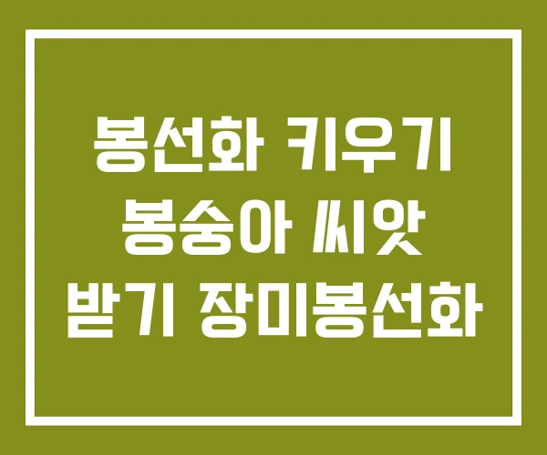 봉선화 키우기 봉숭아 씨앗 받기 장미봉선화