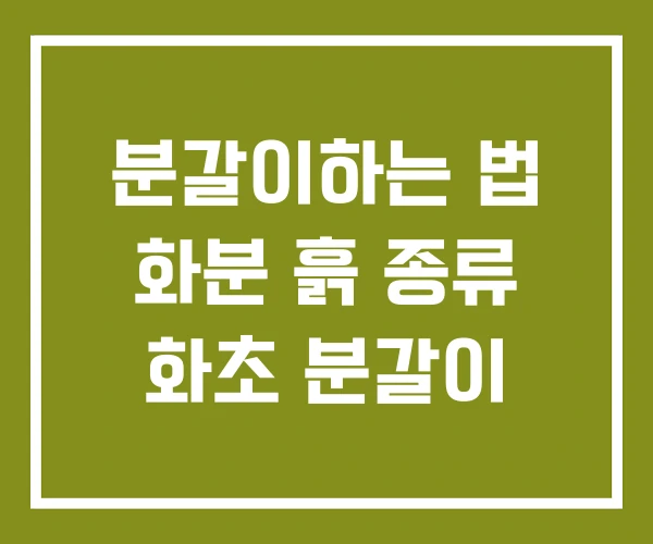 분갈이하는 법 화분 흙 종류 화초 분갈이