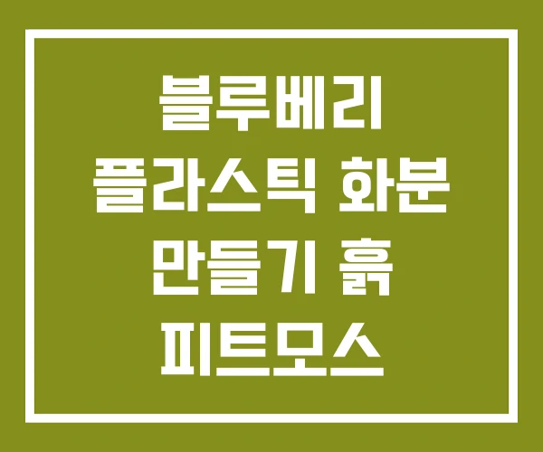 블루베리 플라스틱 화분 만들기 흙 피트모스