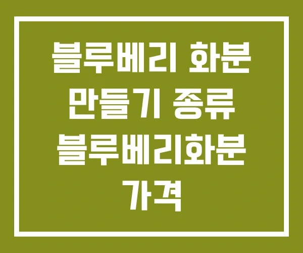블루베리 화분 만들기 종류 블루베리화분 가격