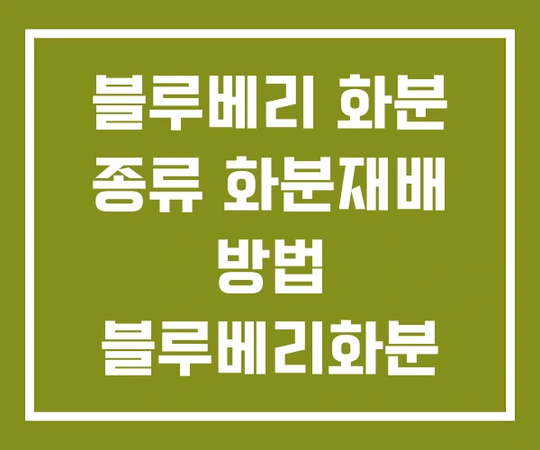 블루베리 화분 종류 화분재배 방법 블루베리화분 가격