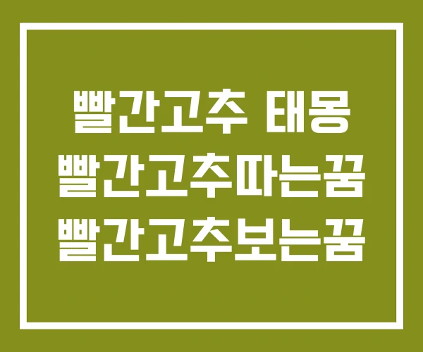 빨간고추 태몽 빨간고추따는꿈 빨간고추보는꿈