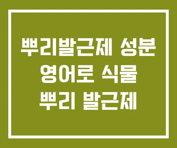 뿌리발근제 성분 영어로 식물 뿌리 발근제