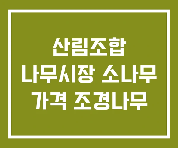 산림조합 나무시장 소나무 가격 조경나무