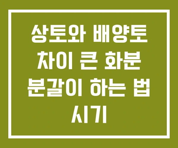 상토와 배양토 차이 큰 화분 분갈이 하는 법 시기
