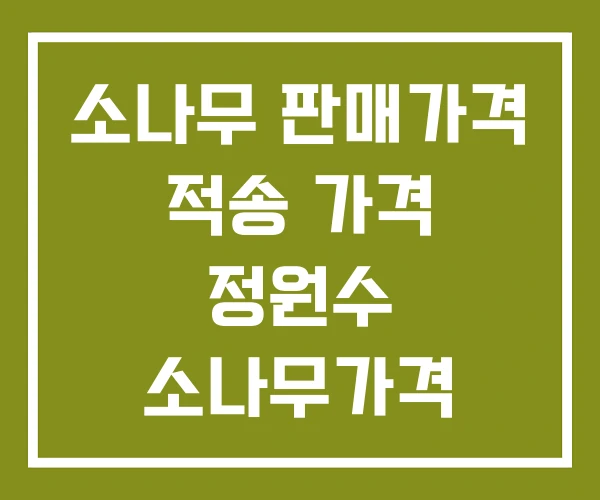 소나무 판매가격 적송 가격 정원수 소나무가격