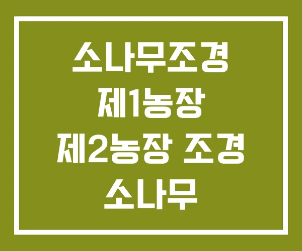 소나무조경 제1농장 제2농장 조경 소나무 소나무조경 제1농장 제2농장 조경 소나무
