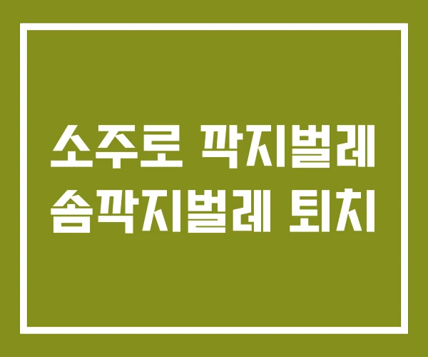 소주로 깍지벌레 솜깍지벌레 퇴치