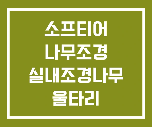 소프티어 나무조경 실내조경나무 울타리
