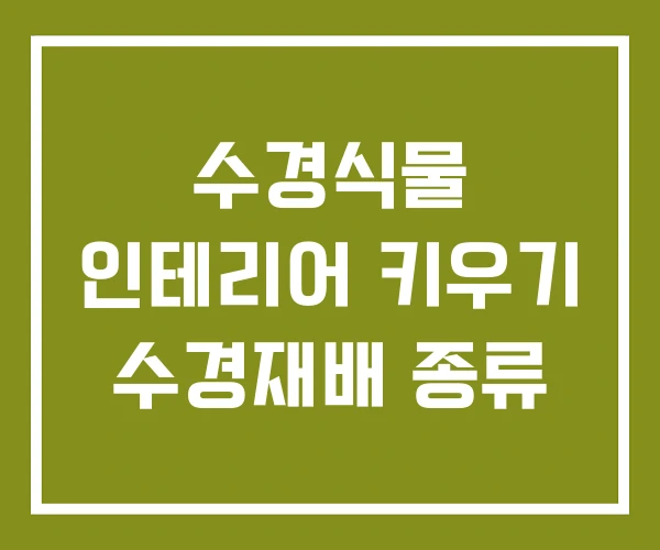 수경식물 인테리어 키우기 수경재배 종류
