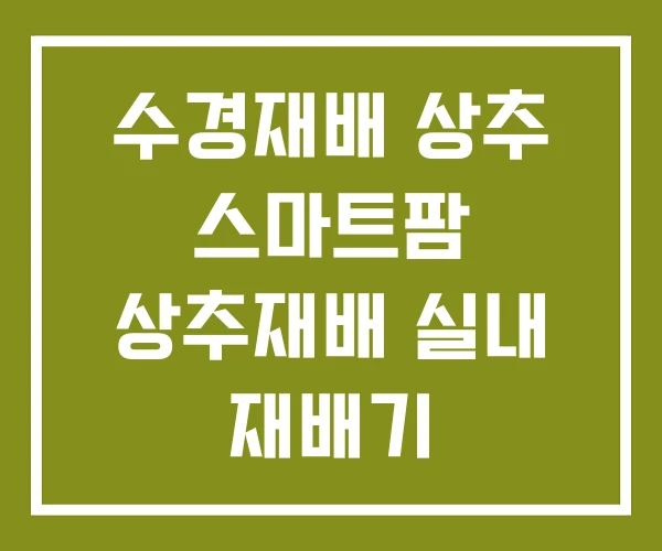 수경재배 상추 스마트팜 상추재배 실내 재배기