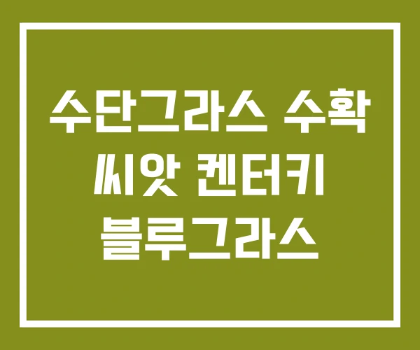수단그라스 수확 씨앗 켄터키 블루그라스