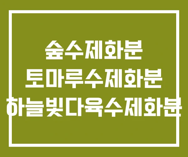 숲수제화분 토마루수제화분 하늘빛다육수제화분