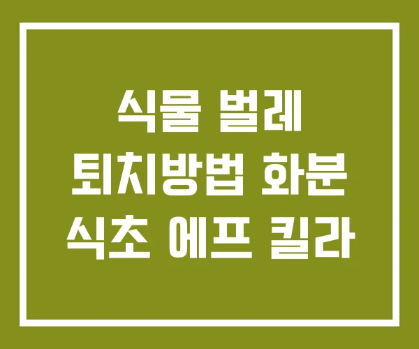 식물 벌레 퇴치방법 화분 식초 에프 킬라