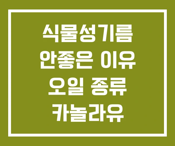 식물성기름 안좋은 이유 오일 종류 카놀라유