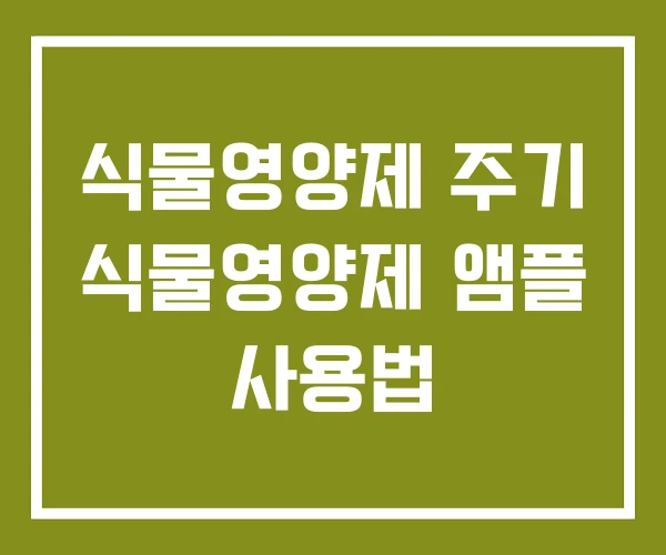 식물영양제 주기 식물영양제 앰플 사용법