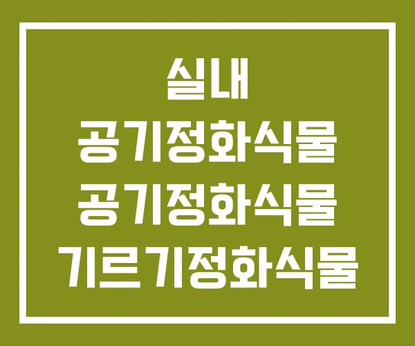 실내 공기정화식물 공기정화식물 기르기정화식물