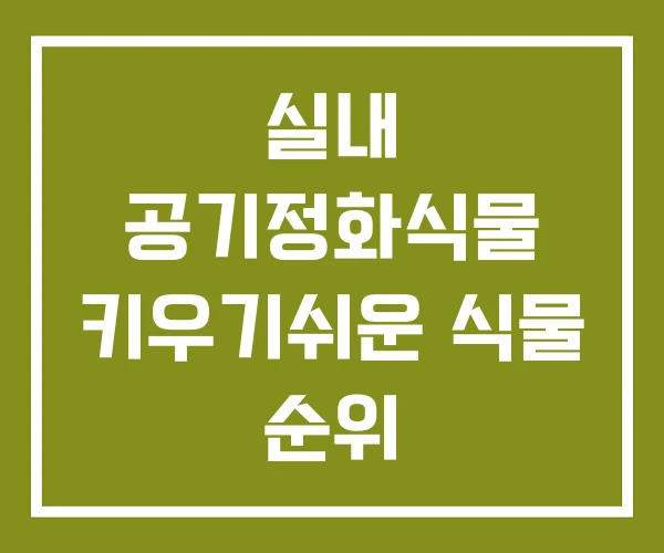 실내 공기정화식물 키우기쉬운 식물 순위
