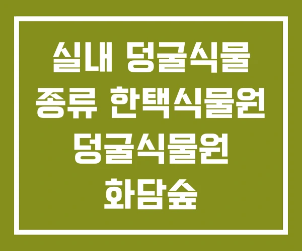 실내 덩굴식물 종류 한택식물원 덩굴식물원 화담숲