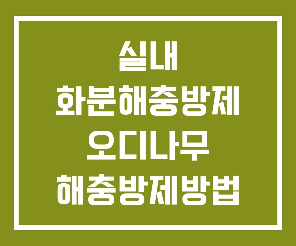 실내 화분해충방제 오디나무 해충방제방법 진정 해충방제