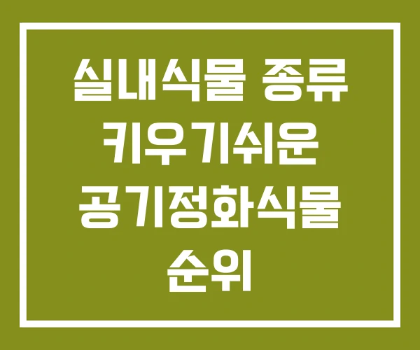 실내식물 종류 키우기쉬운 공기정화식물 순위