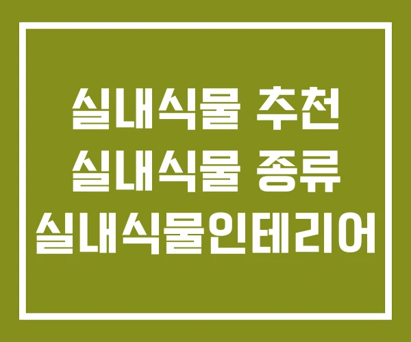 실내식물 추천 실내식물 종류 실내식물인테리어
