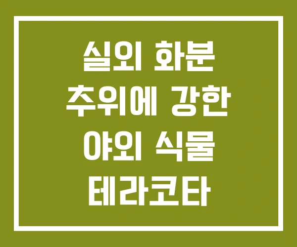 실외 화분 추위에 강한 야외 식물 테라코타
