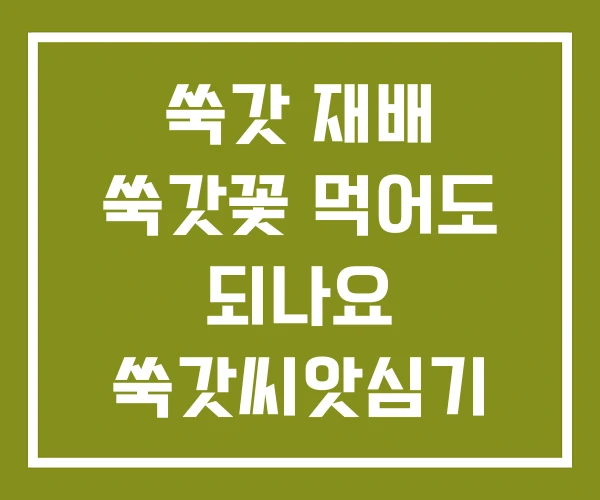 쑥갓 재배 쑥갓꽃 먹어도 되나요 쑥갓씨앗심기 쑥갓 재배 쑥갓꽃 먹어도 되나요 쑥갓씨앗심기