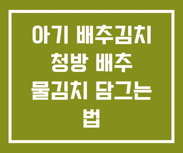 아기 배추김치 청방 배추 물김치 담그는 법