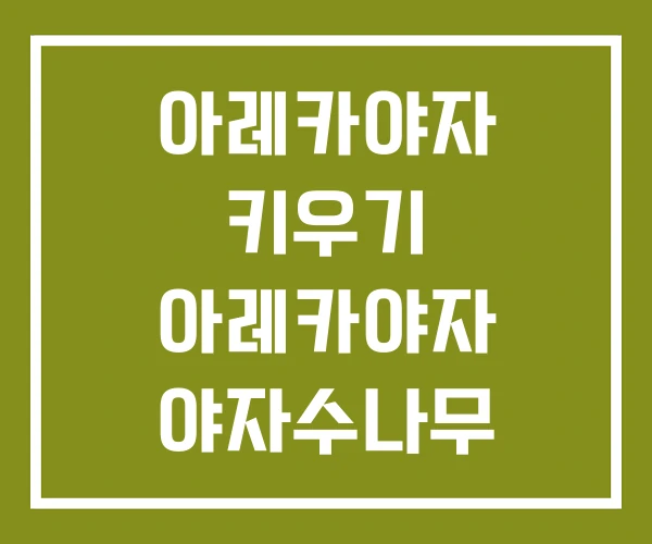 아레카야자 키우기 아레카야자 야자수나무
