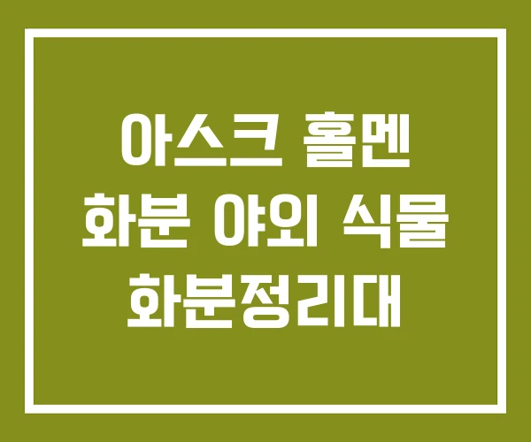 아스크 홀멘 화분 야외 식물 화분정리대 아스크 홀멘 화분 야외 식물 화분정리대