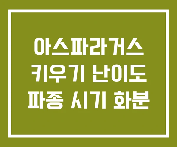 아스파라거스 키우기 난이도 파종 시기 화분