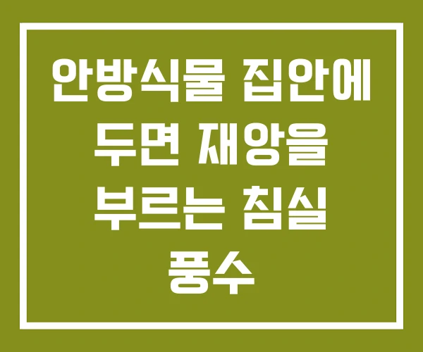 안방식물 집안에 두면 재앙을 부르는 침실 풍수