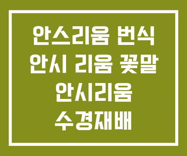 안스리움 번식 안시 리움 꽃말 안시리움 수경재배