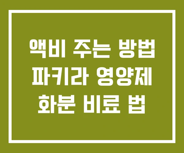 액비 주는 방법 파키라 영양제 화분 비료 법