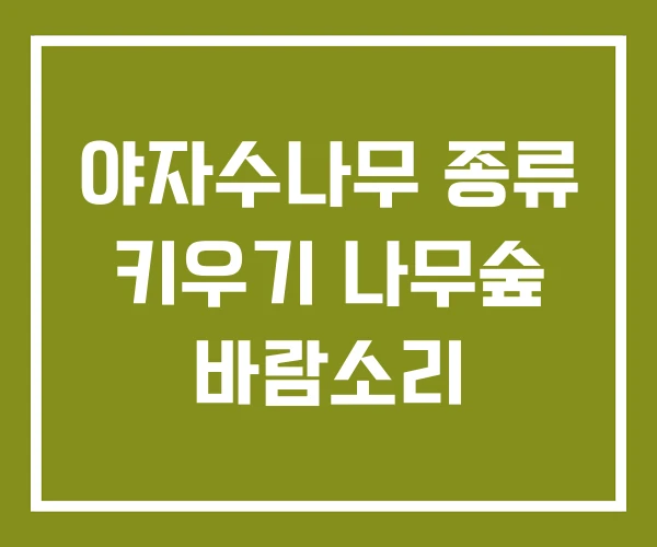 야자수나무 종류 키우기 나무숲 바람소리