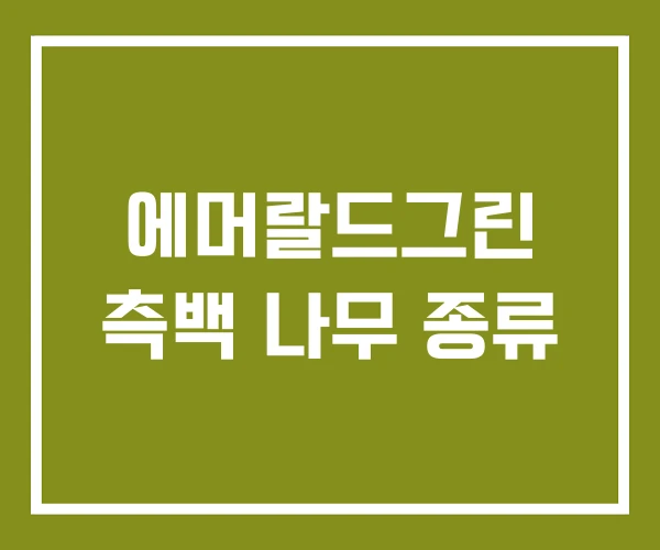에머랄드그린 측백 나무 종류
