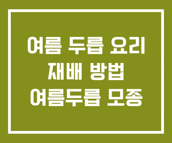 여름 두릅 요리 재배 방법 여름두릅 모종