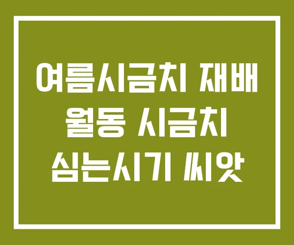 여름시금치 재배 월동 시금치 심는시기 씨앗