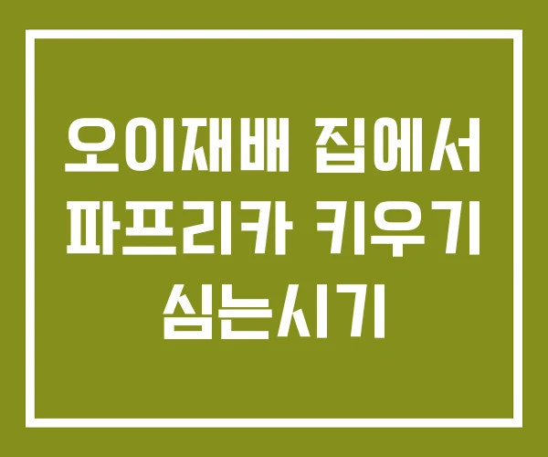 오이재배 집에서 파프리카 키우기 심는시기