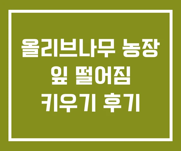 올리브나무 농장 잎 떨어짐 키우기 후기