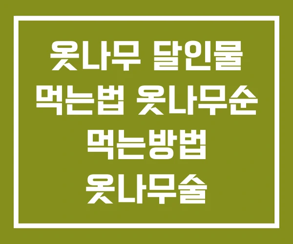 옷나무 달인물 먹는법 옷나무순 먹는방법 옷나무술