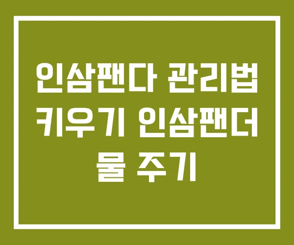 인삼팬다 관리법 키우기 인삼팬더 물 주기