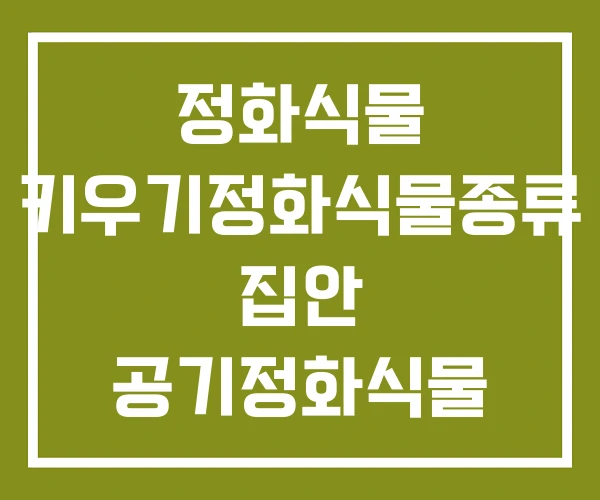정화식물 키우기정화식물종류 집안 공기정화식물