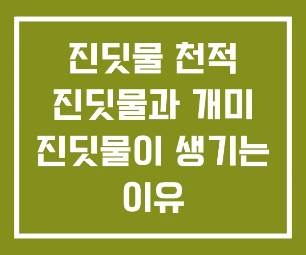 진딧물 천적 진딧물과 개미 진딧물이 생기는 이유 진딧물 천적 진딧물과 개미 진딧물이 생기는 이유